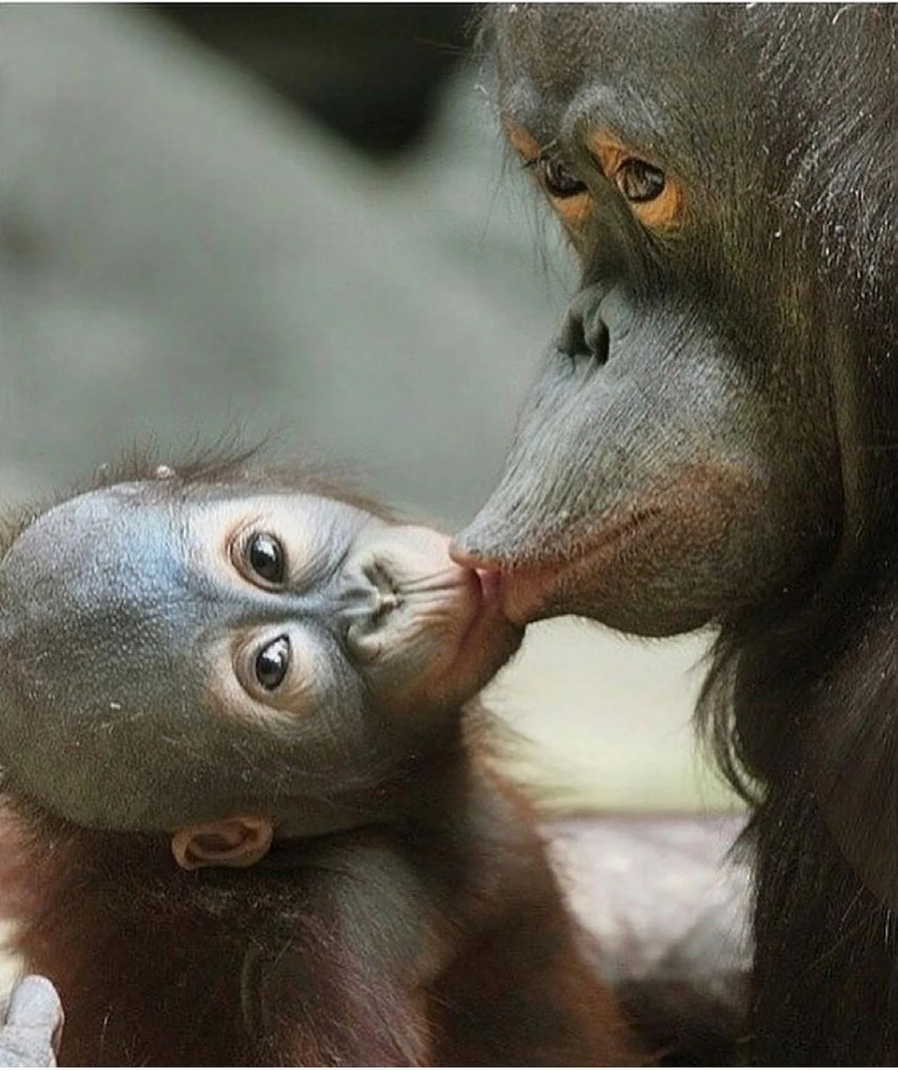 Love and Writers — For My Tuesday Group