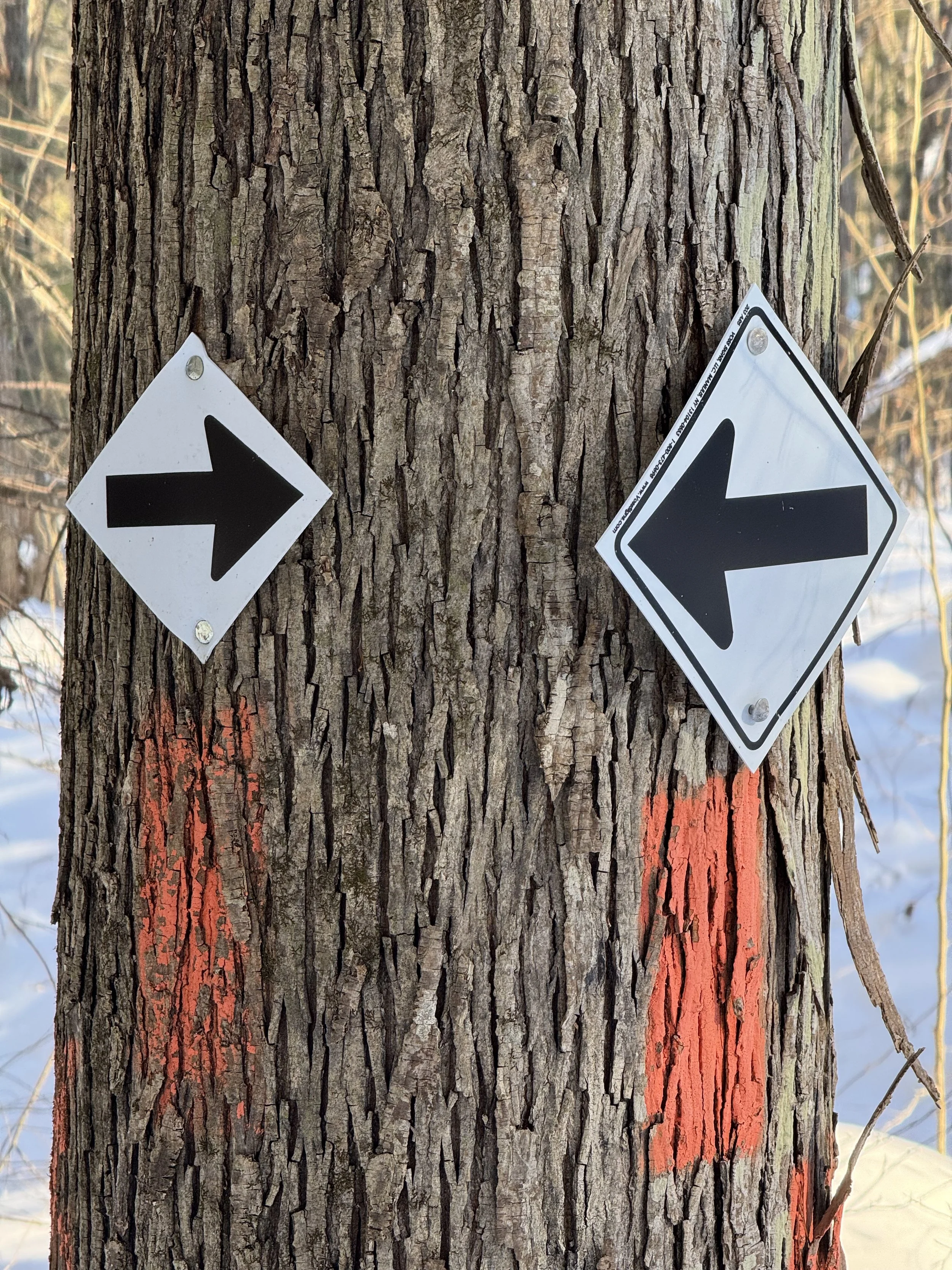 Writing as Breadcrumbs