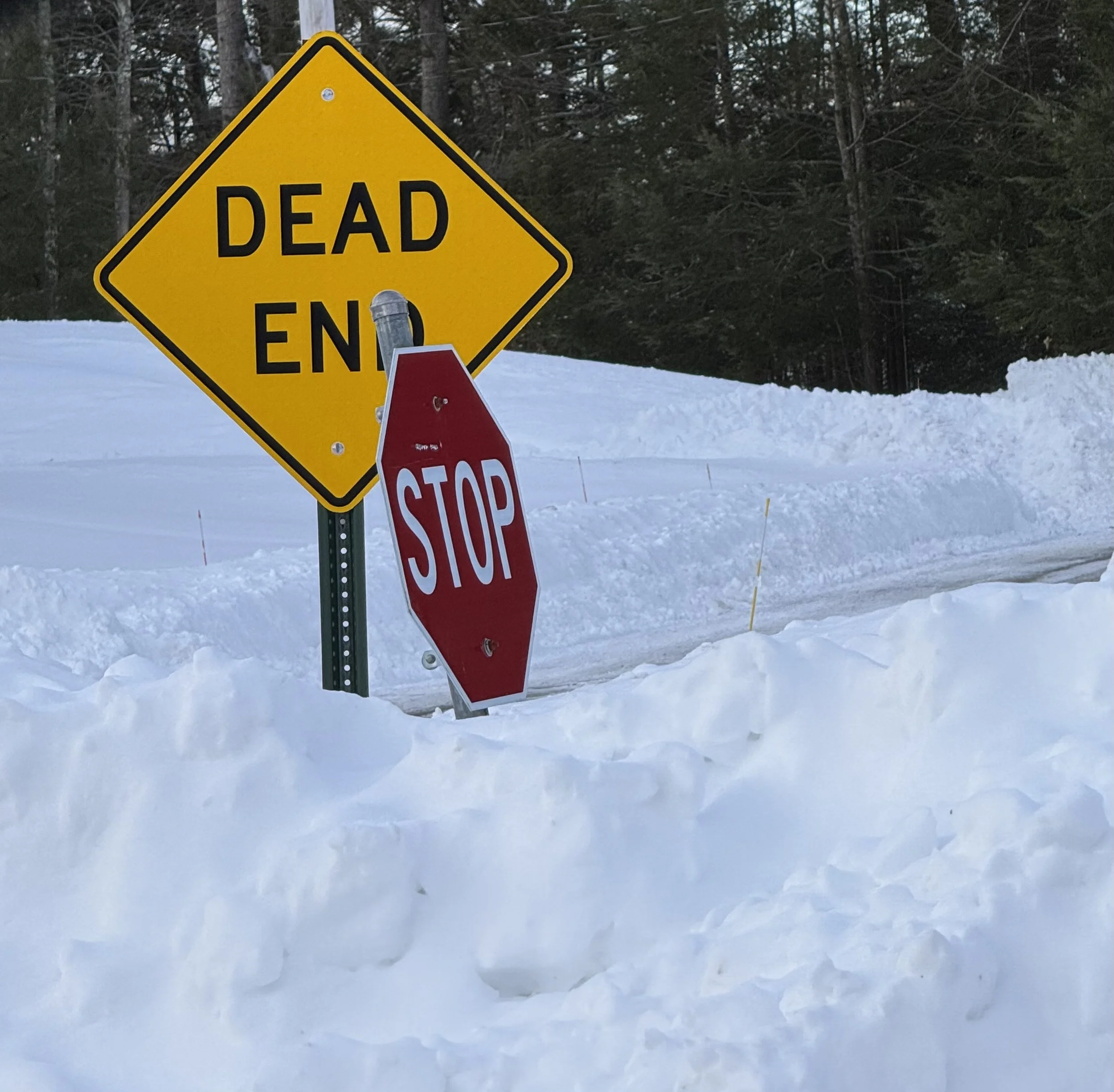 How to Not Write a Book in Six Months or How to Shed an Adoption Narrative Instead of Write It