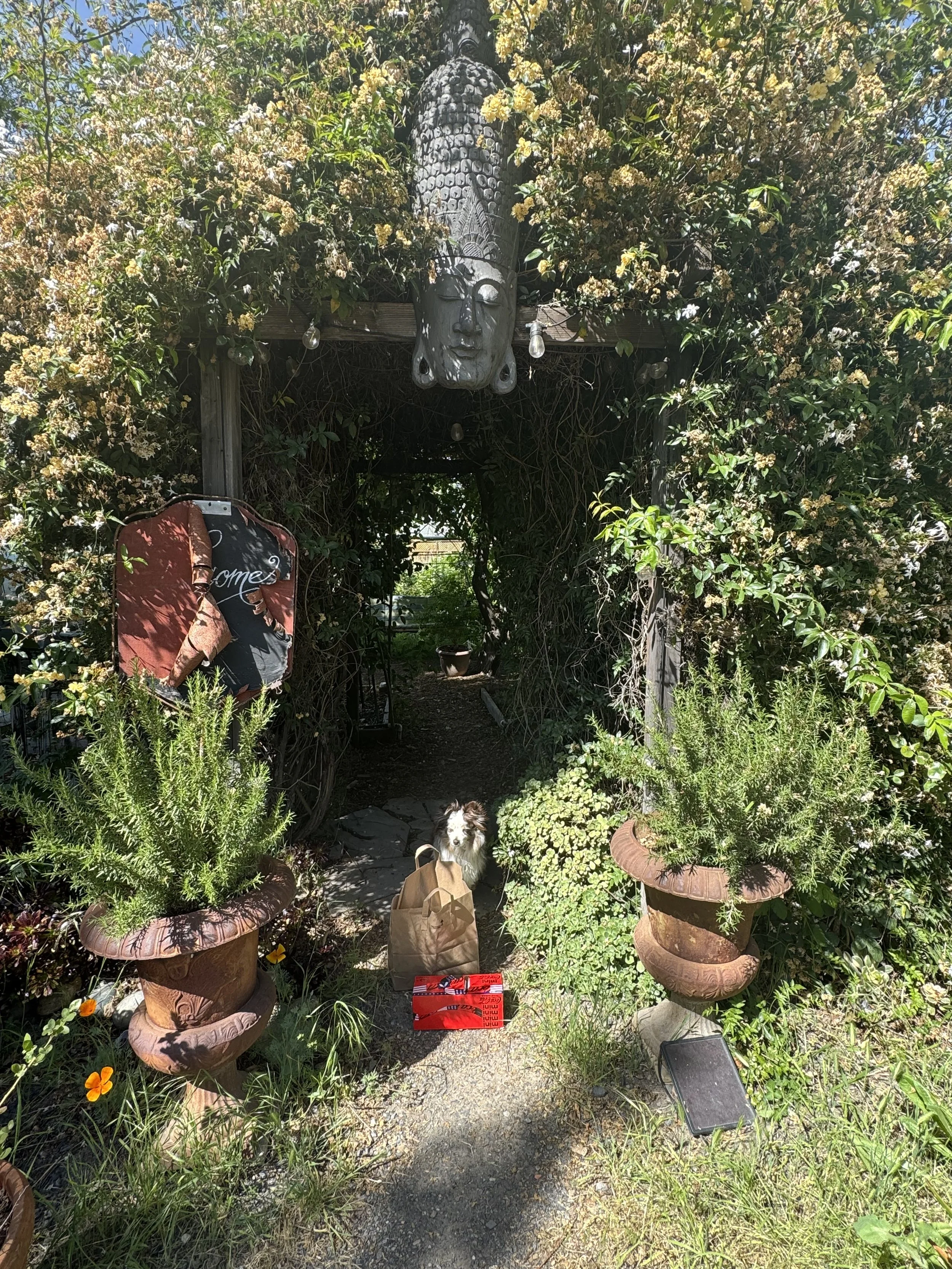 Death and DoorDash and Goodbye Hello