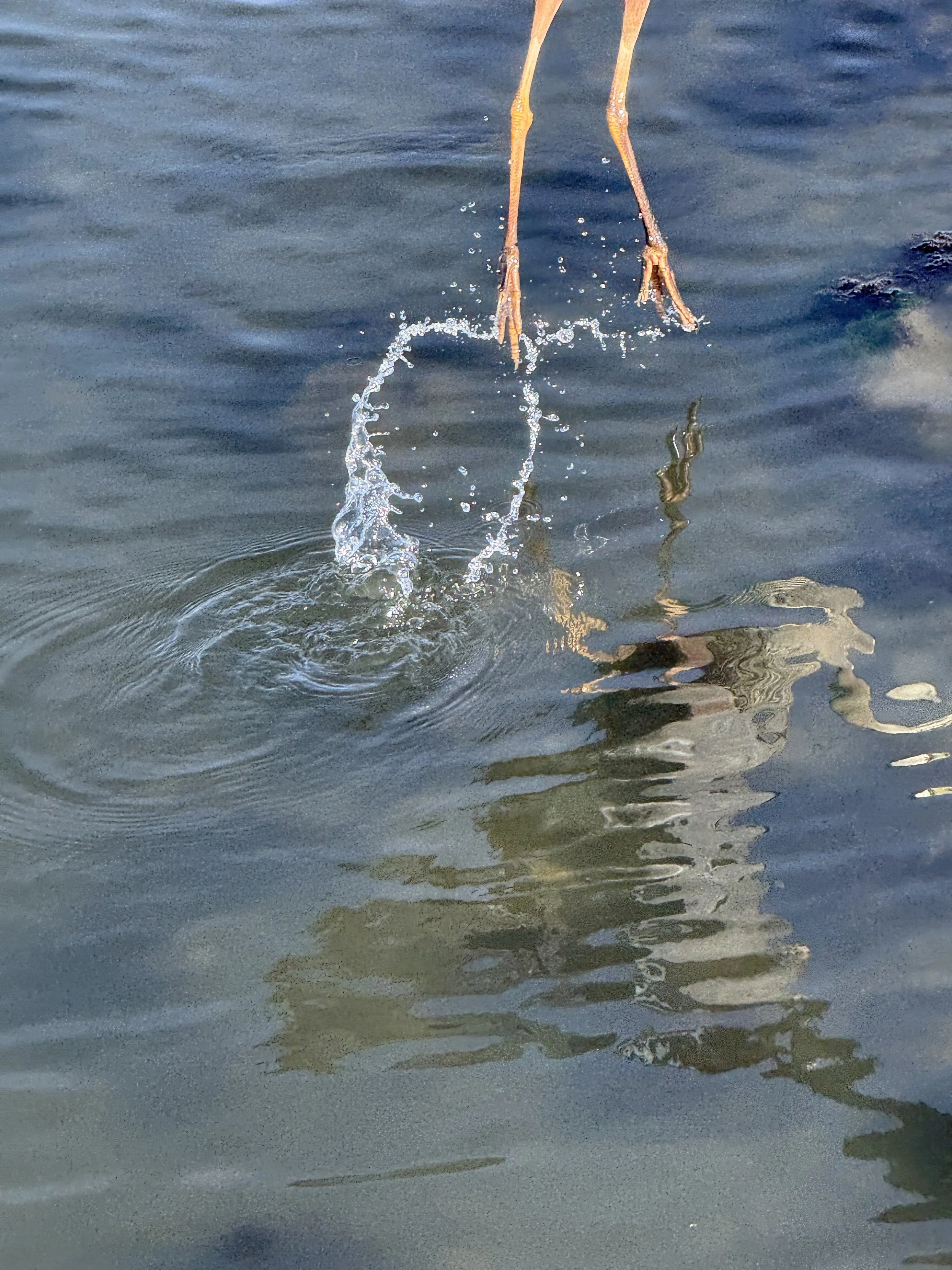 Just Say Yes to the Nothing Left Unsaid Workshop Because I’m in the Fire of Love and Loss And I Said Do It. 