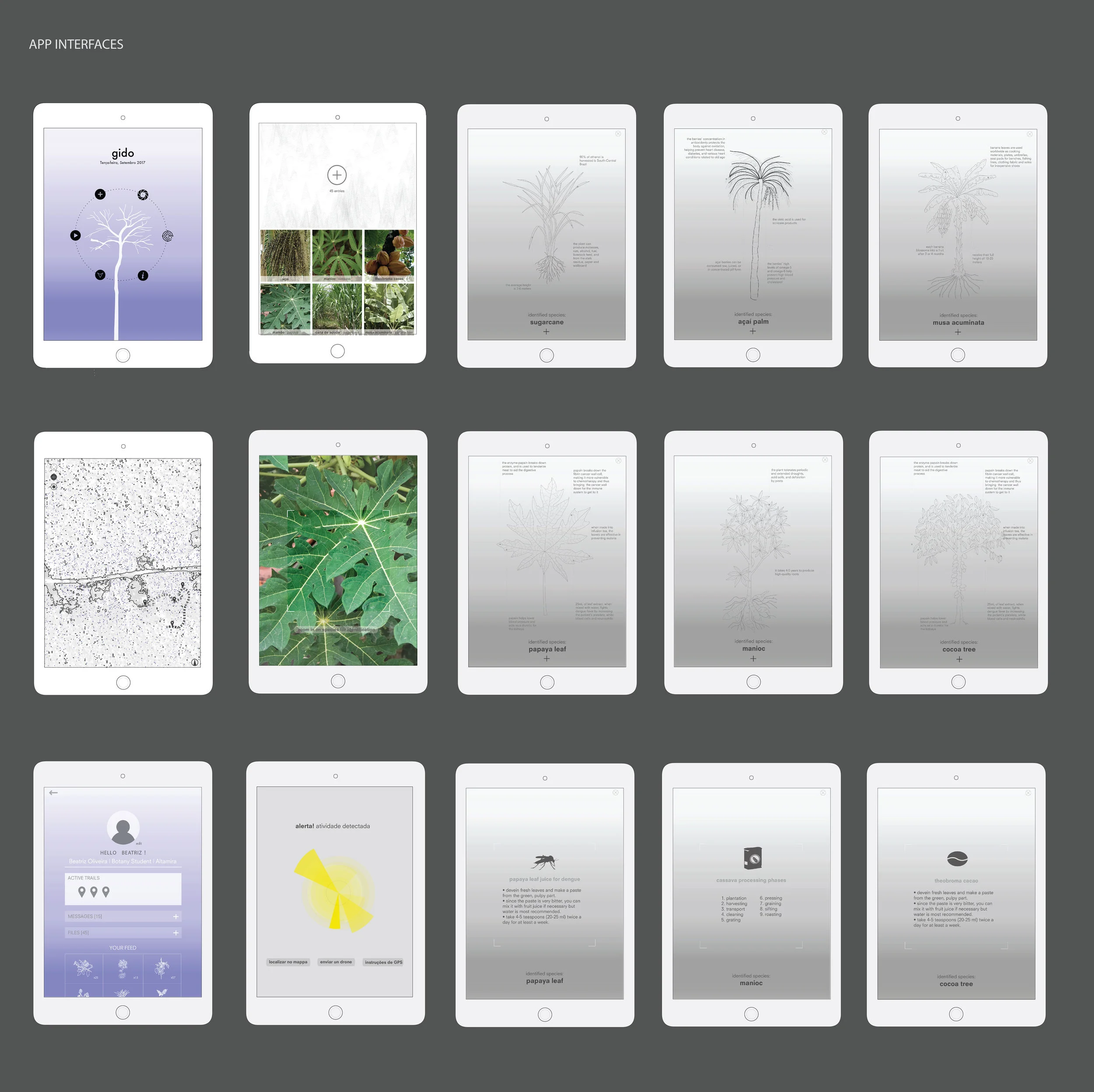 Interfaces.jpg