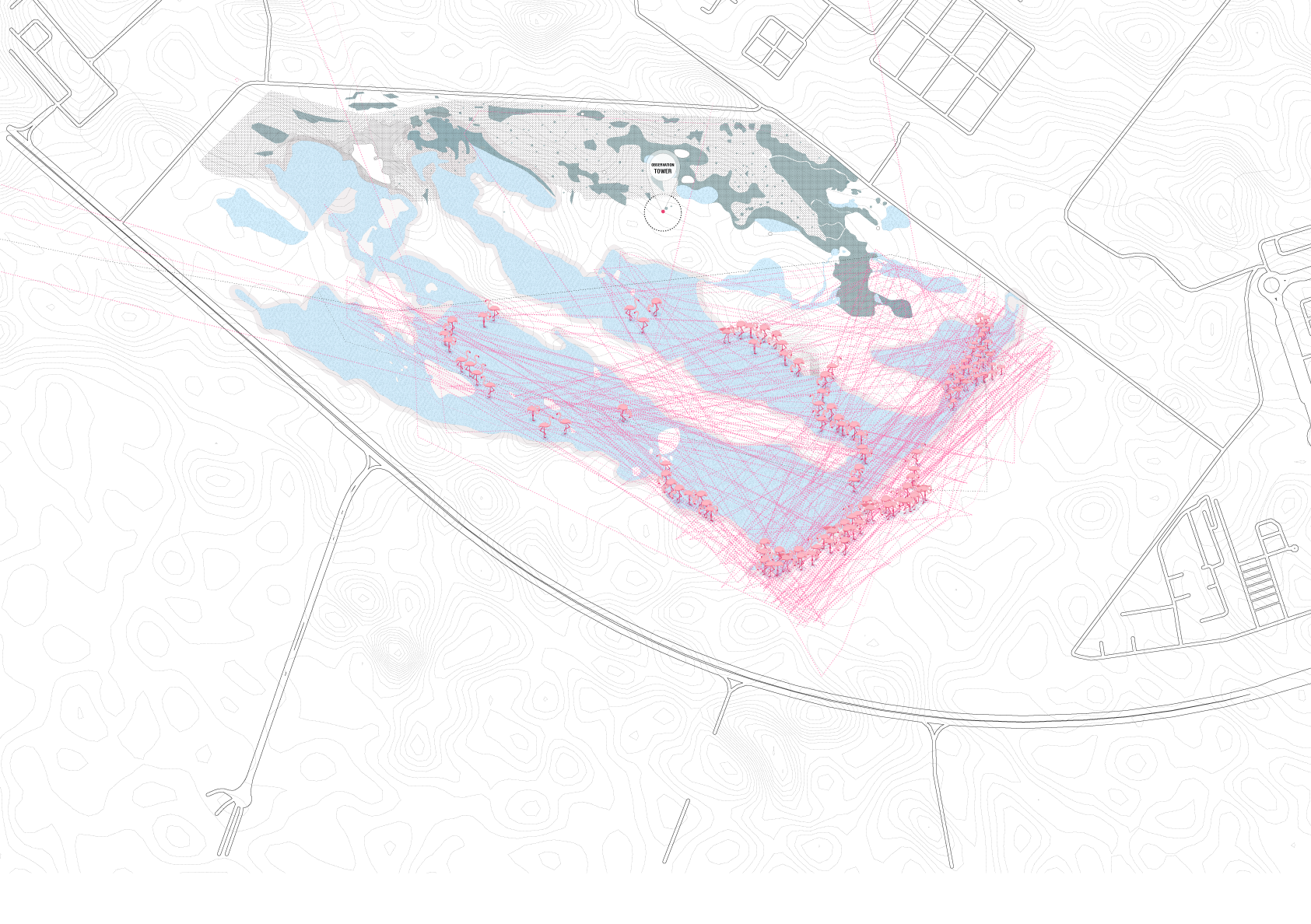 Masterplan with Flamingo Migration paths