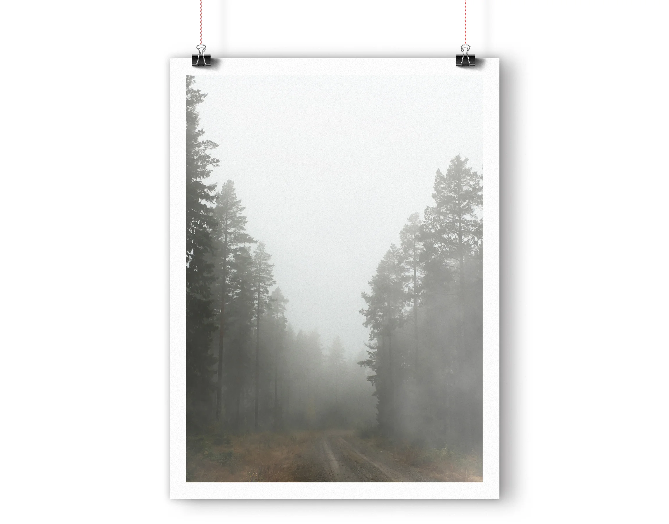 foggyforest_mockup2.jpg