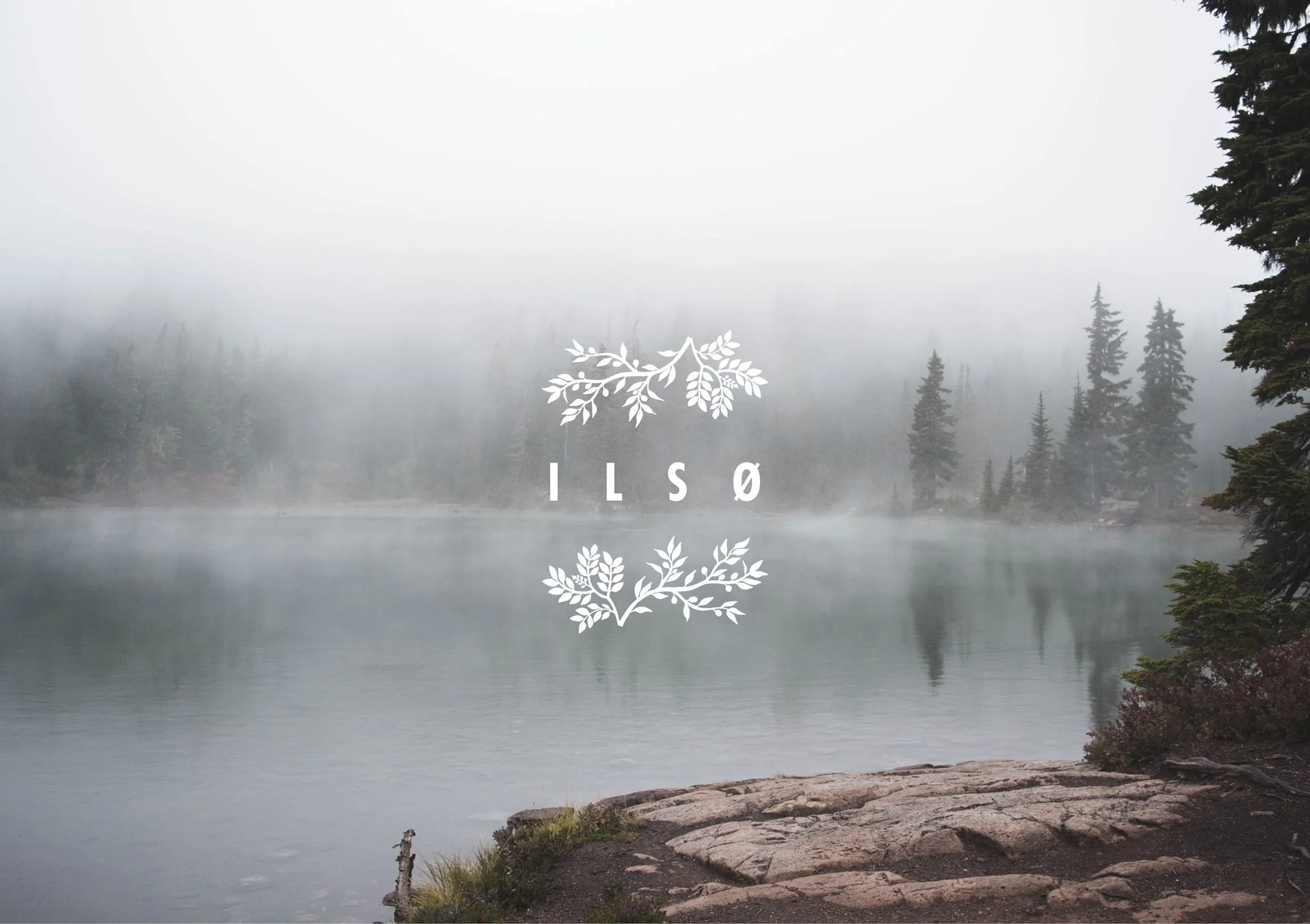 ilso4.jpg