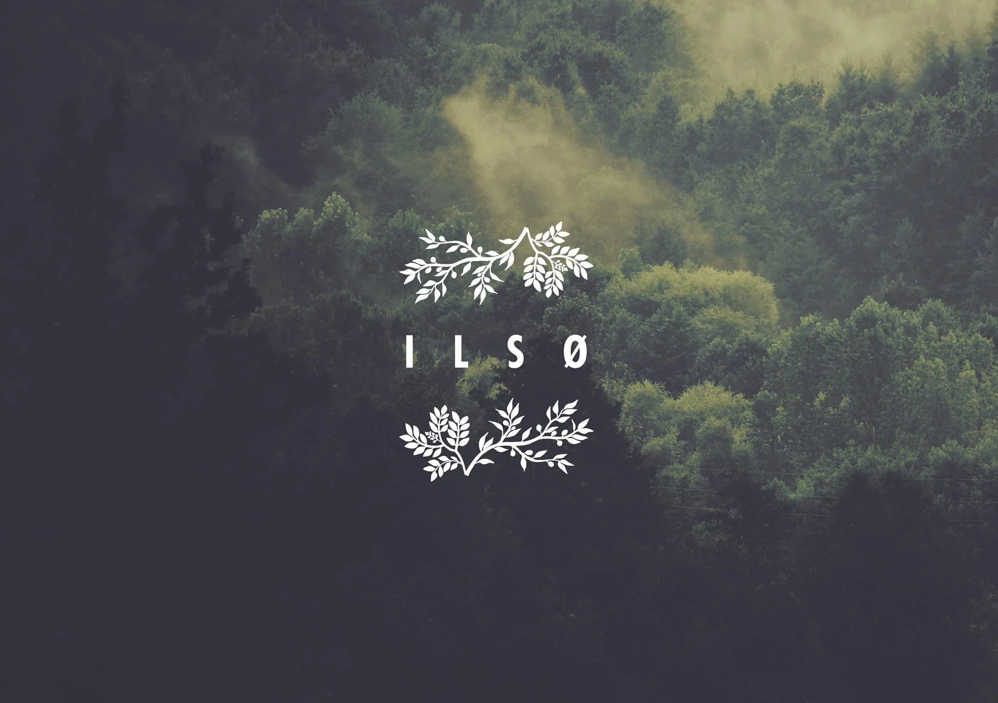 ilso8.jpg