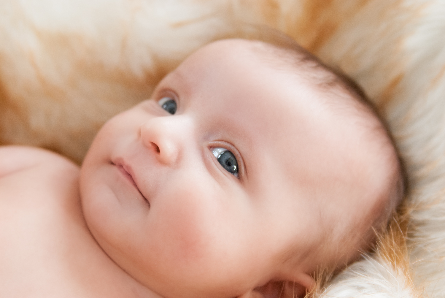 Minneapolis-Newborn-Photography-Brett-Dorrian-Artistry-Studios