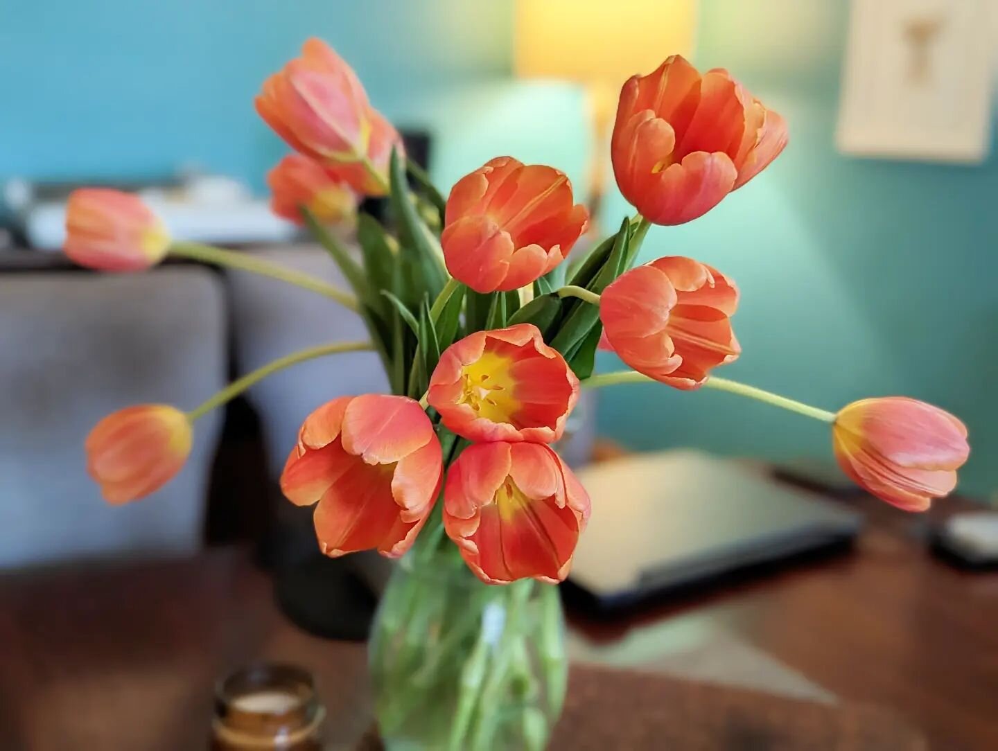 Soaking up the sunshine and fresh flowers during this beautiful part of the spring season. ☀️🌺🌻💐🐾&hearts;️