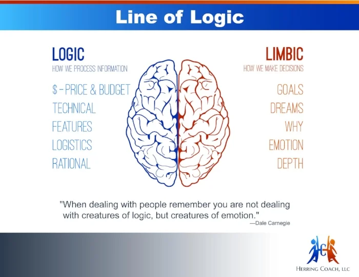 Line_of_Logic-FINAL.jpg