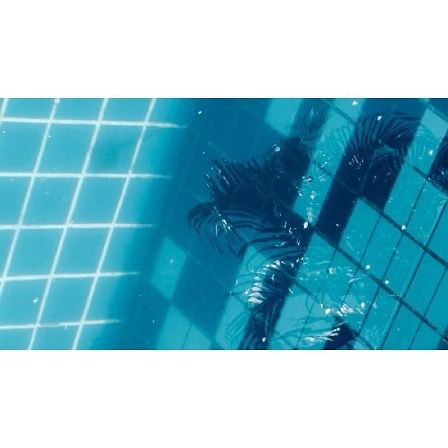 Pool reflections. Some much needed time out at #pauba #beachhouse .
.
.
.
.
#praiadapauba #pool #waterreflection #fujixt100 #instagood #blue #