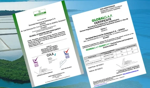 banner_animado_internas_certificado2.jpg