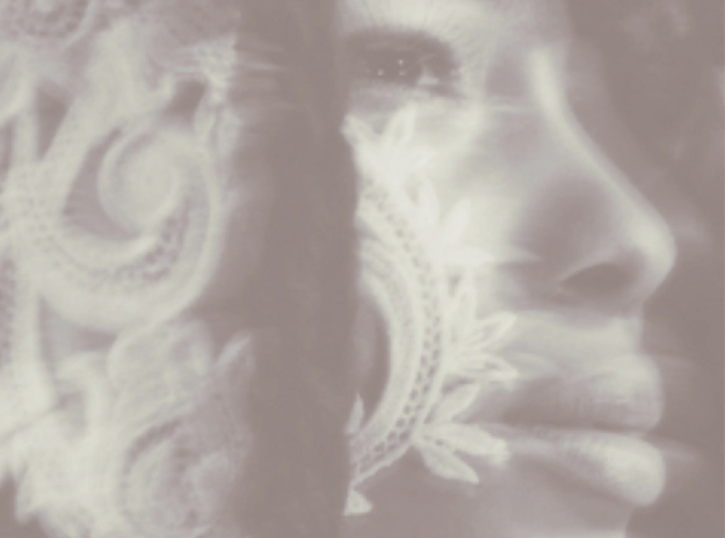 Gentleness Pages.jpg