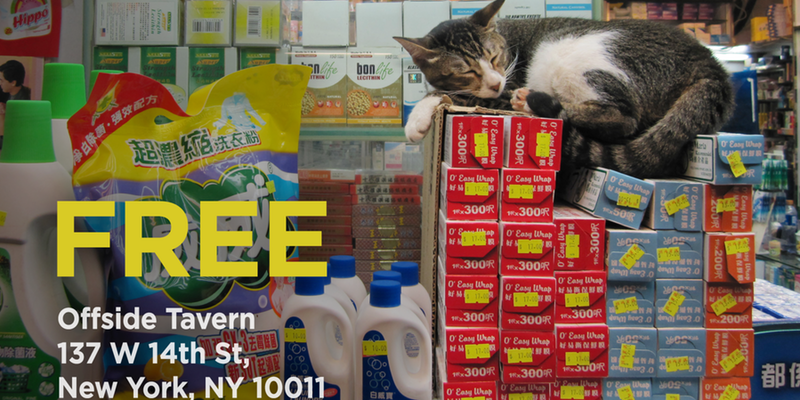 Bodega Cat