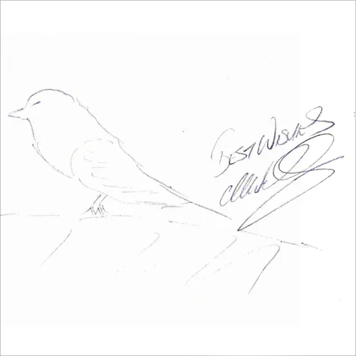 Mark Webber_tn.jpg