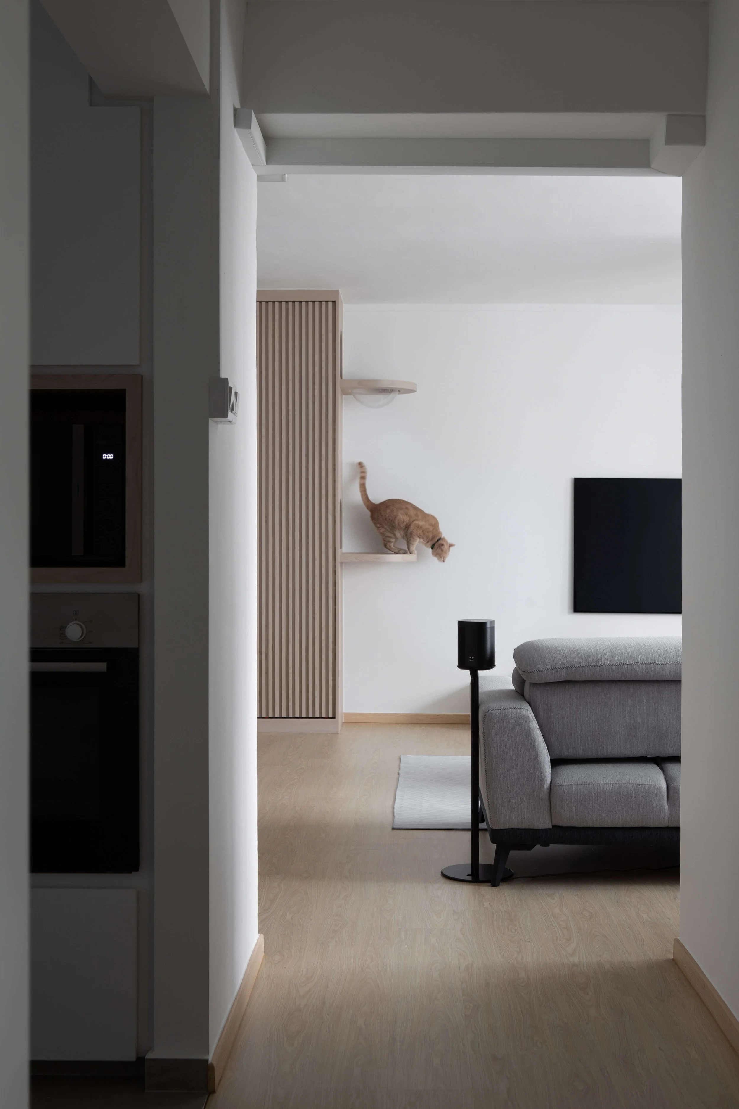 Serene Minimalist Living Room Ideas in Singapore — Lemonfridge Studio
