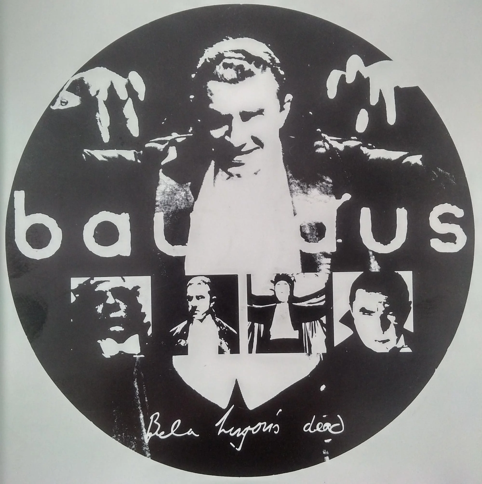 bela2.jpg
