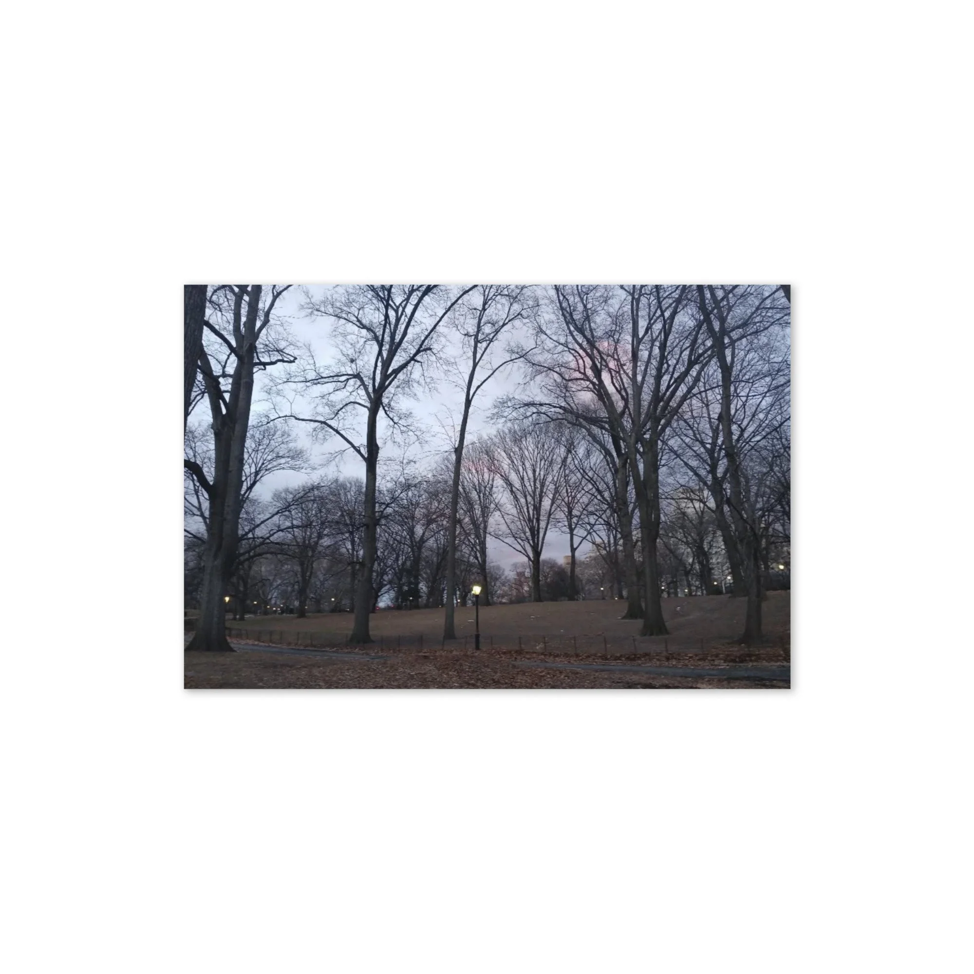 greeting-card-4x6-front-6916a1cca189e.jpg