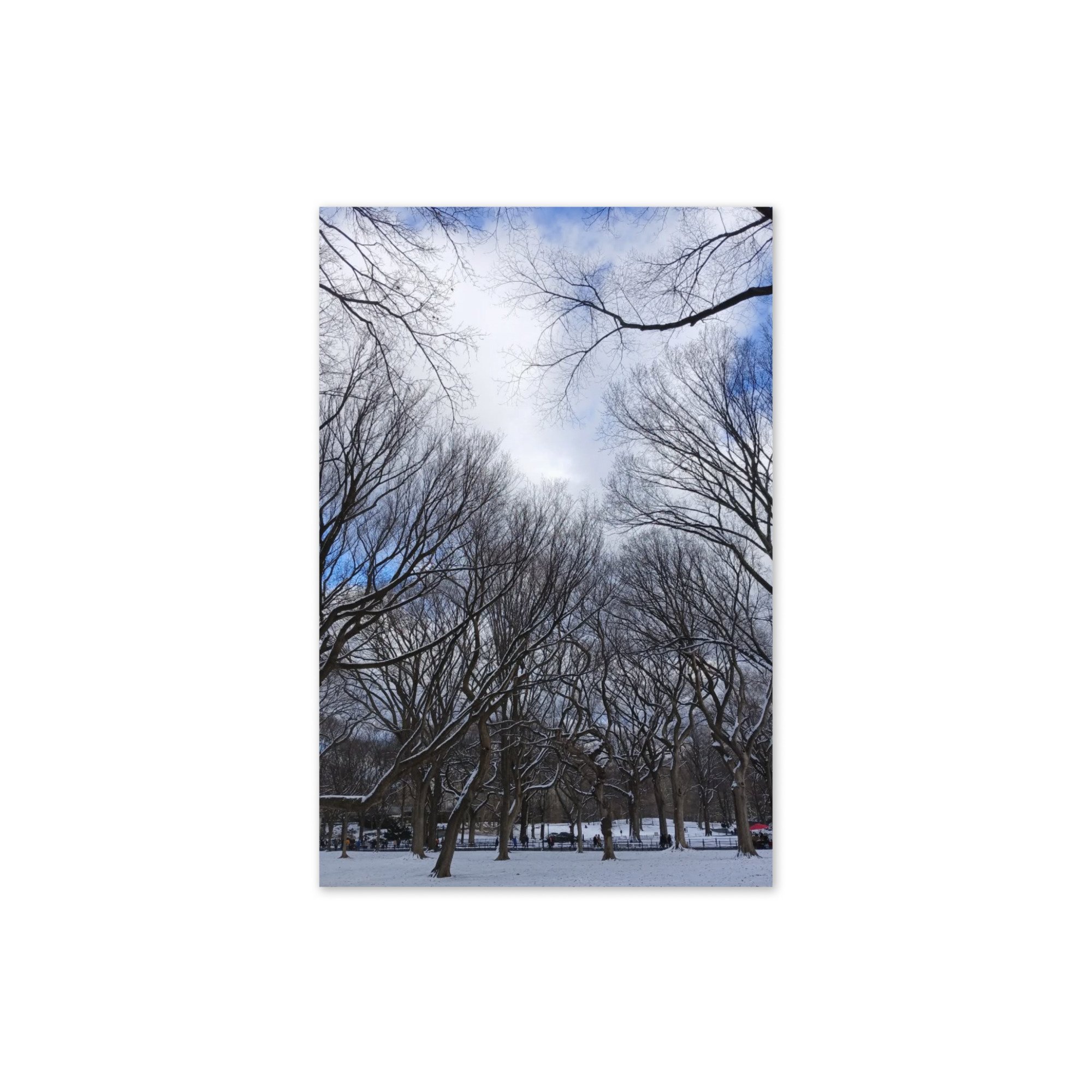 greeting-card-4x6-front-6916a2e894f17.jpg