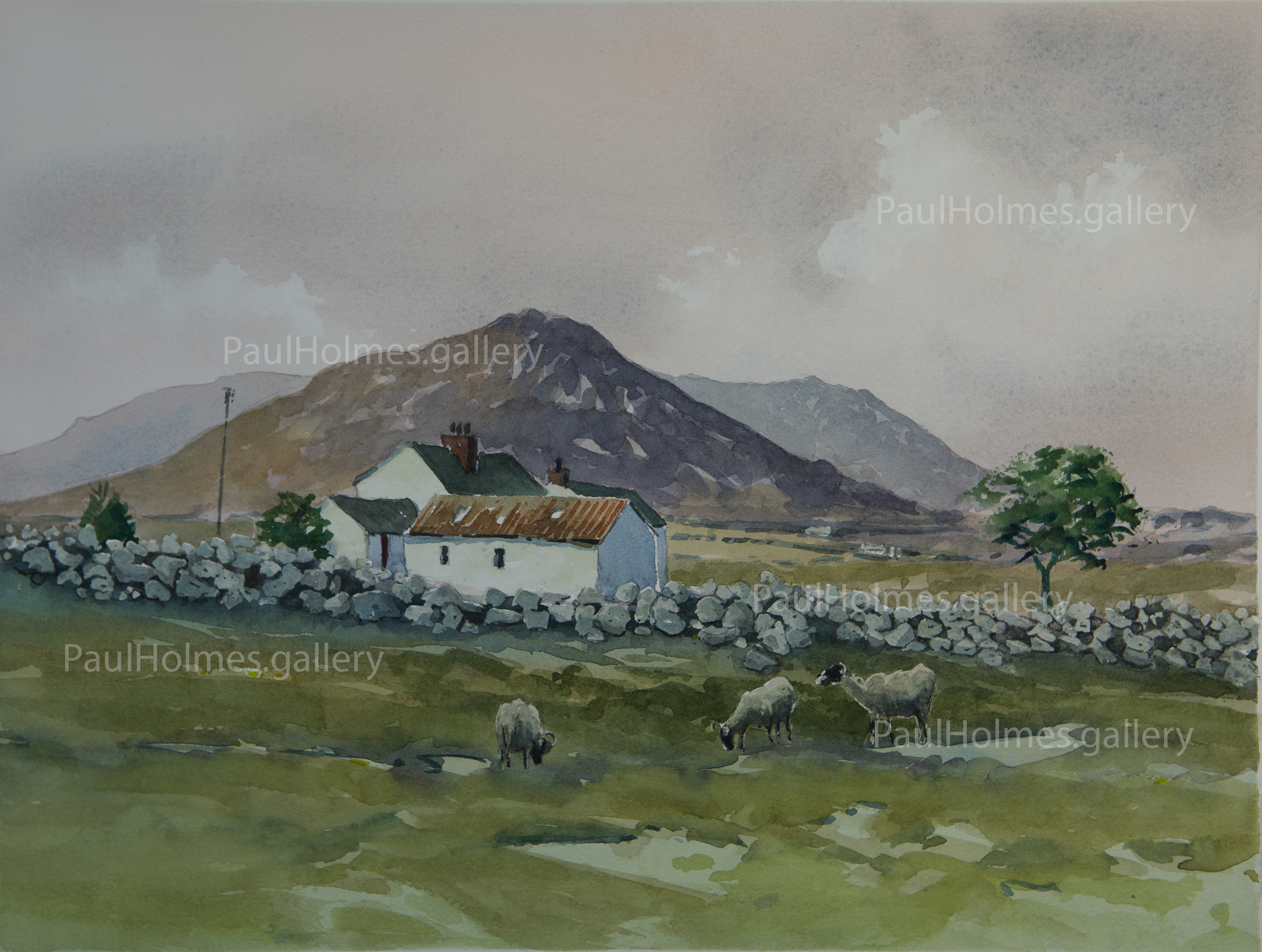 MOURNE COTTAGE Co. DOWN