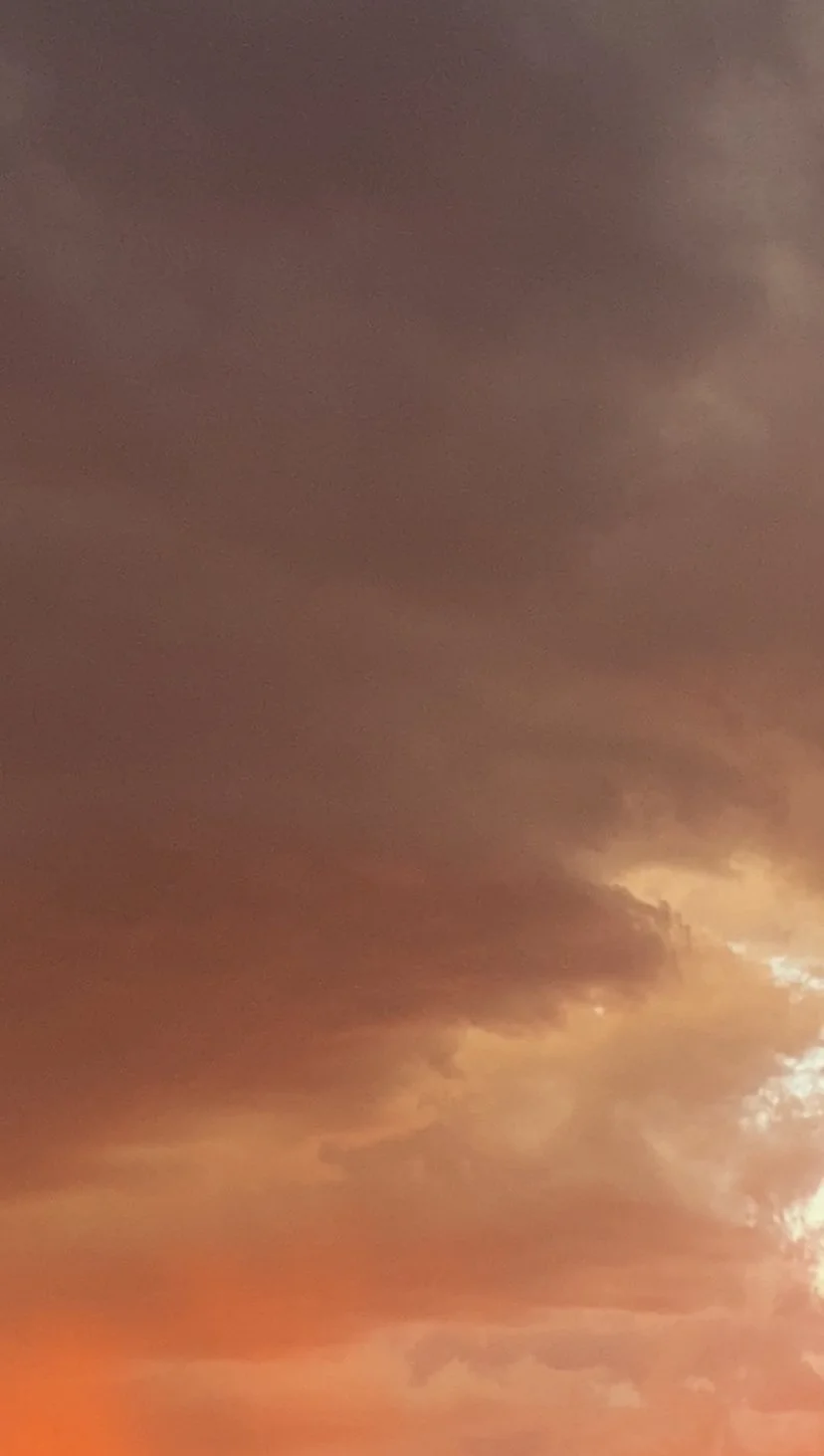 turning the car around / he drove to the mountains