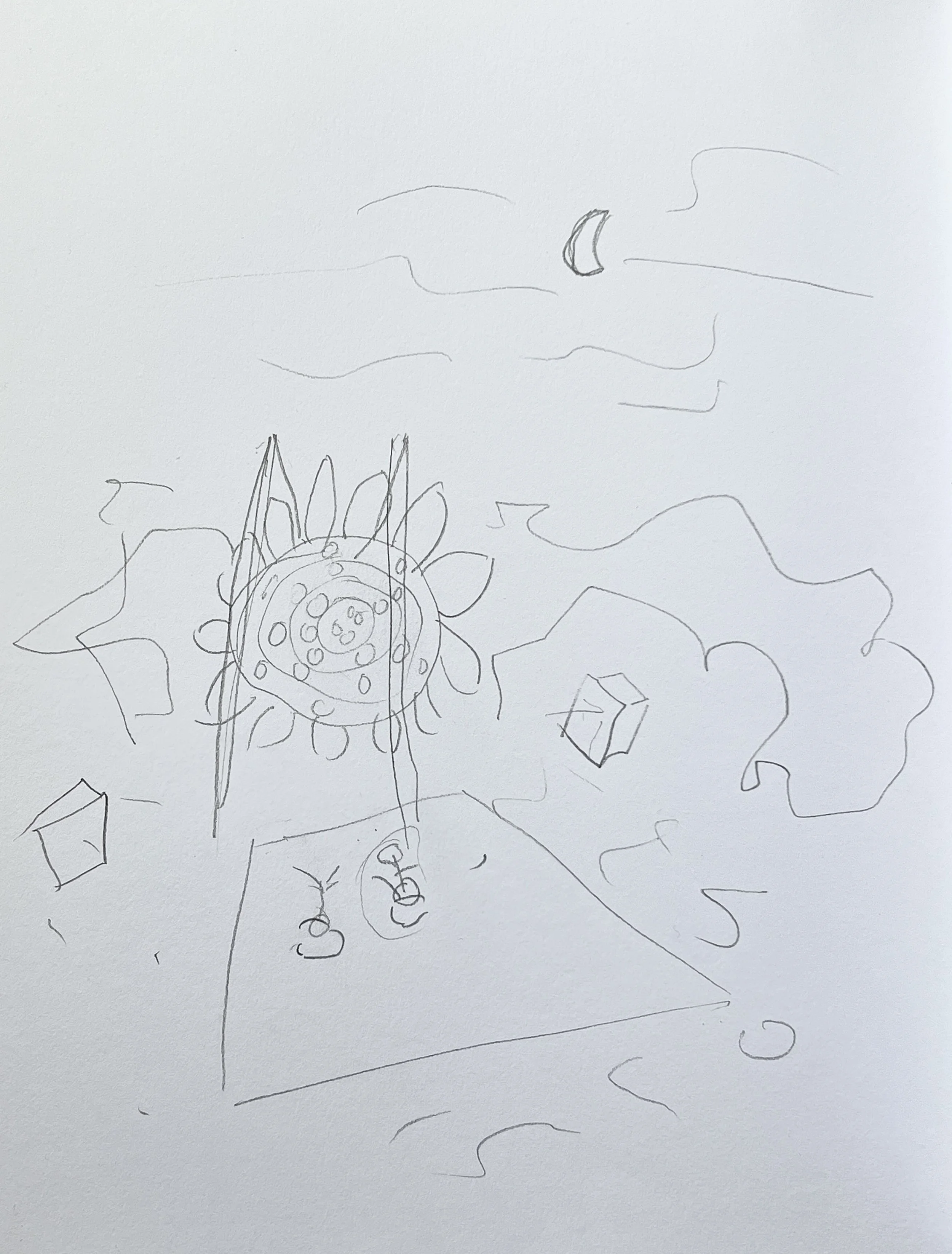 sunflower / window