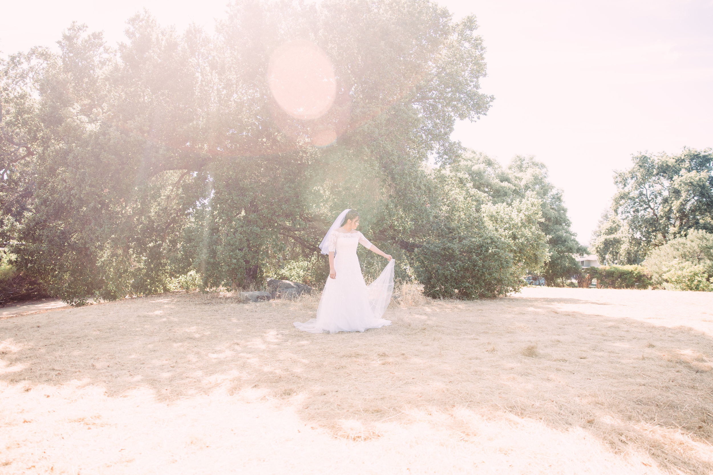 Bay Area bridal portrait