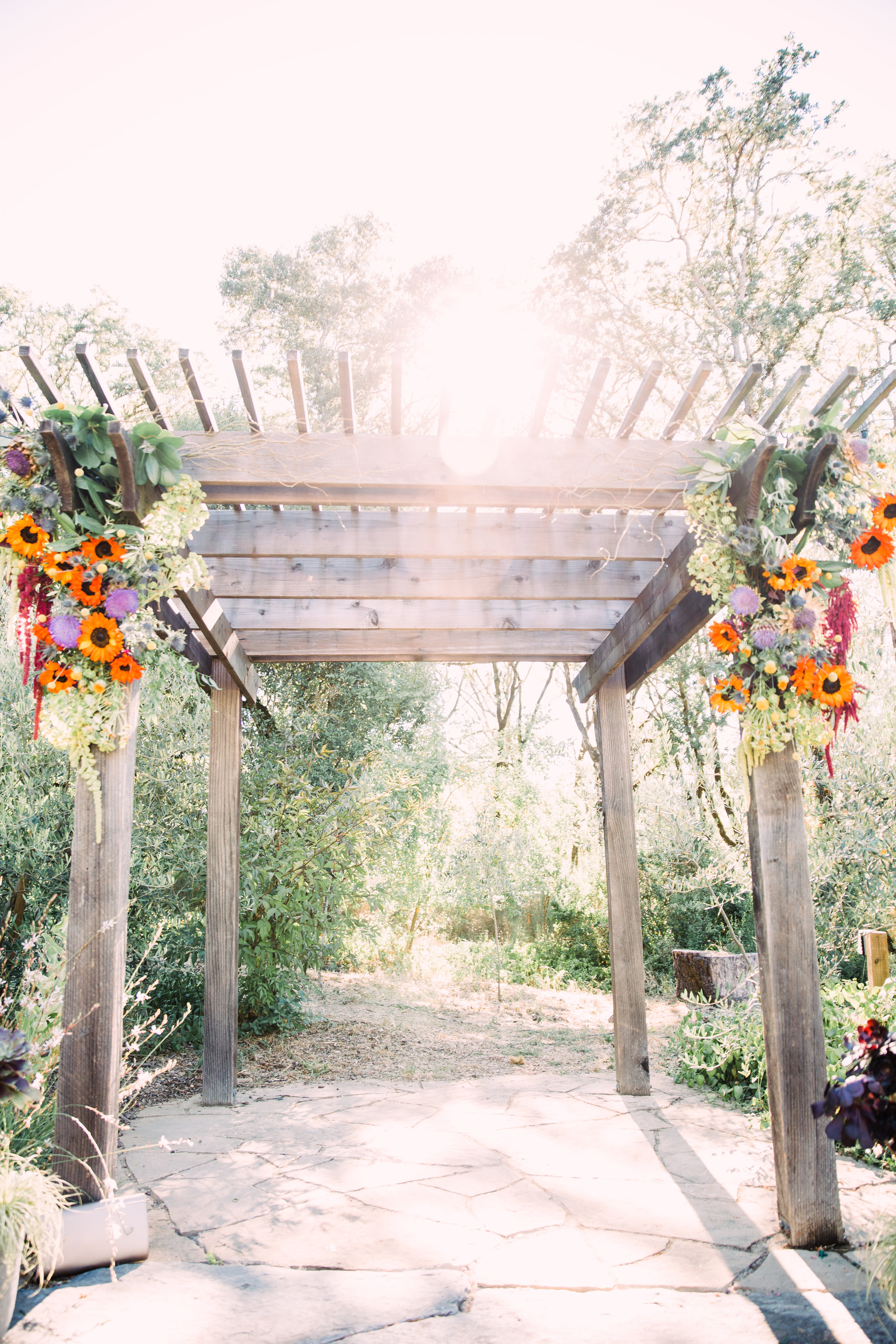 Summer wedding arch at Yokayo Ranch