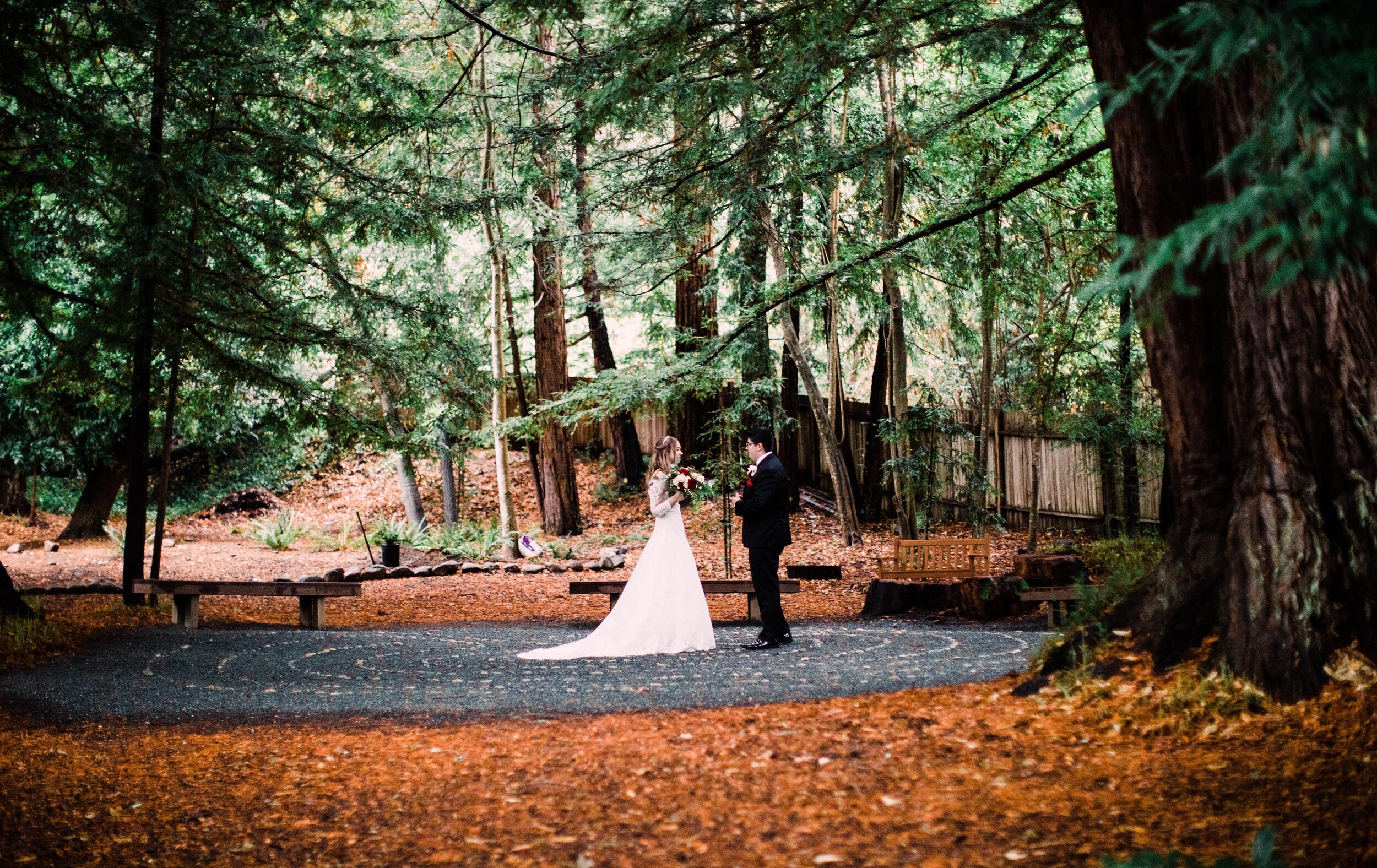 redwood forest wedding bay area