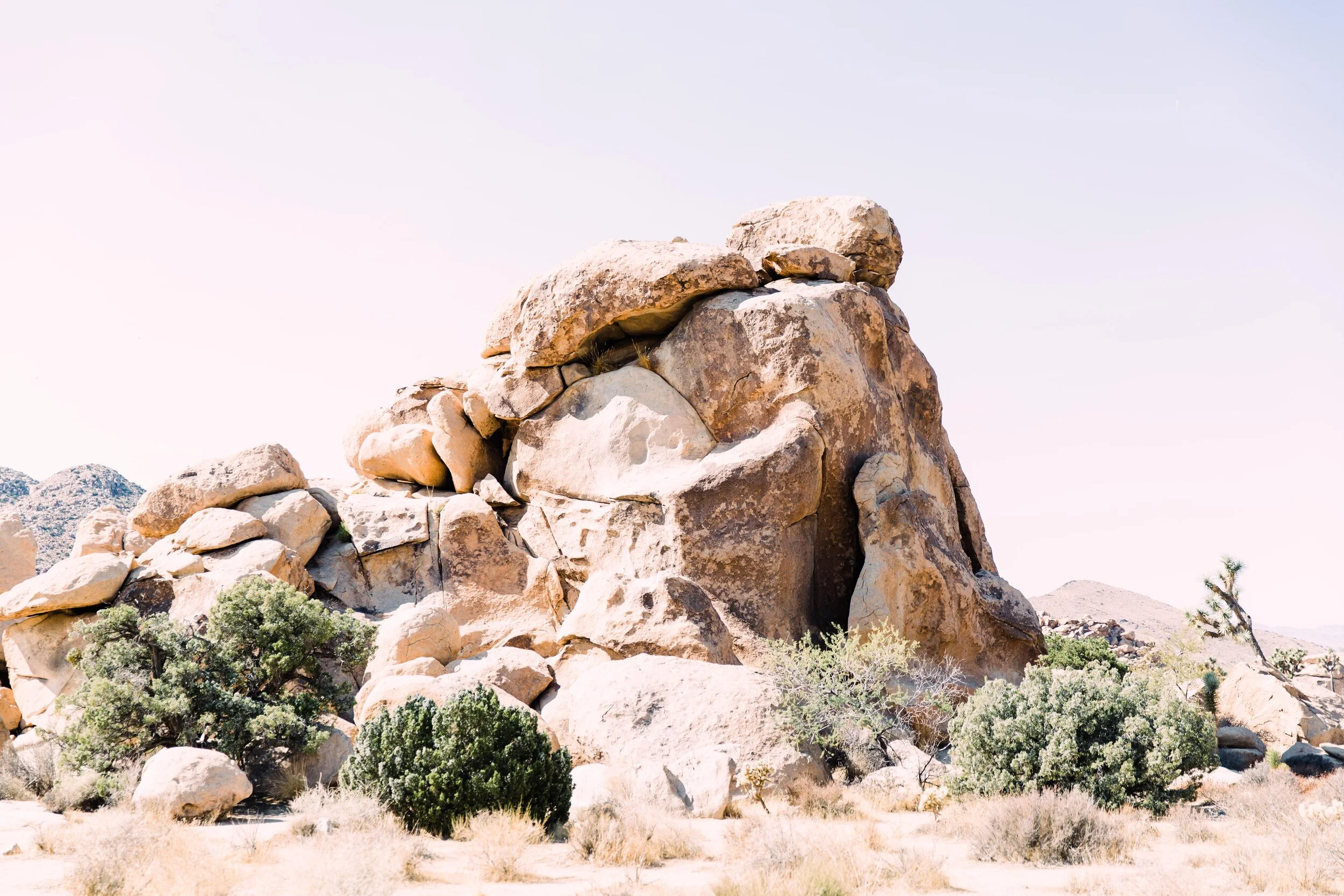 joshua tree wedding