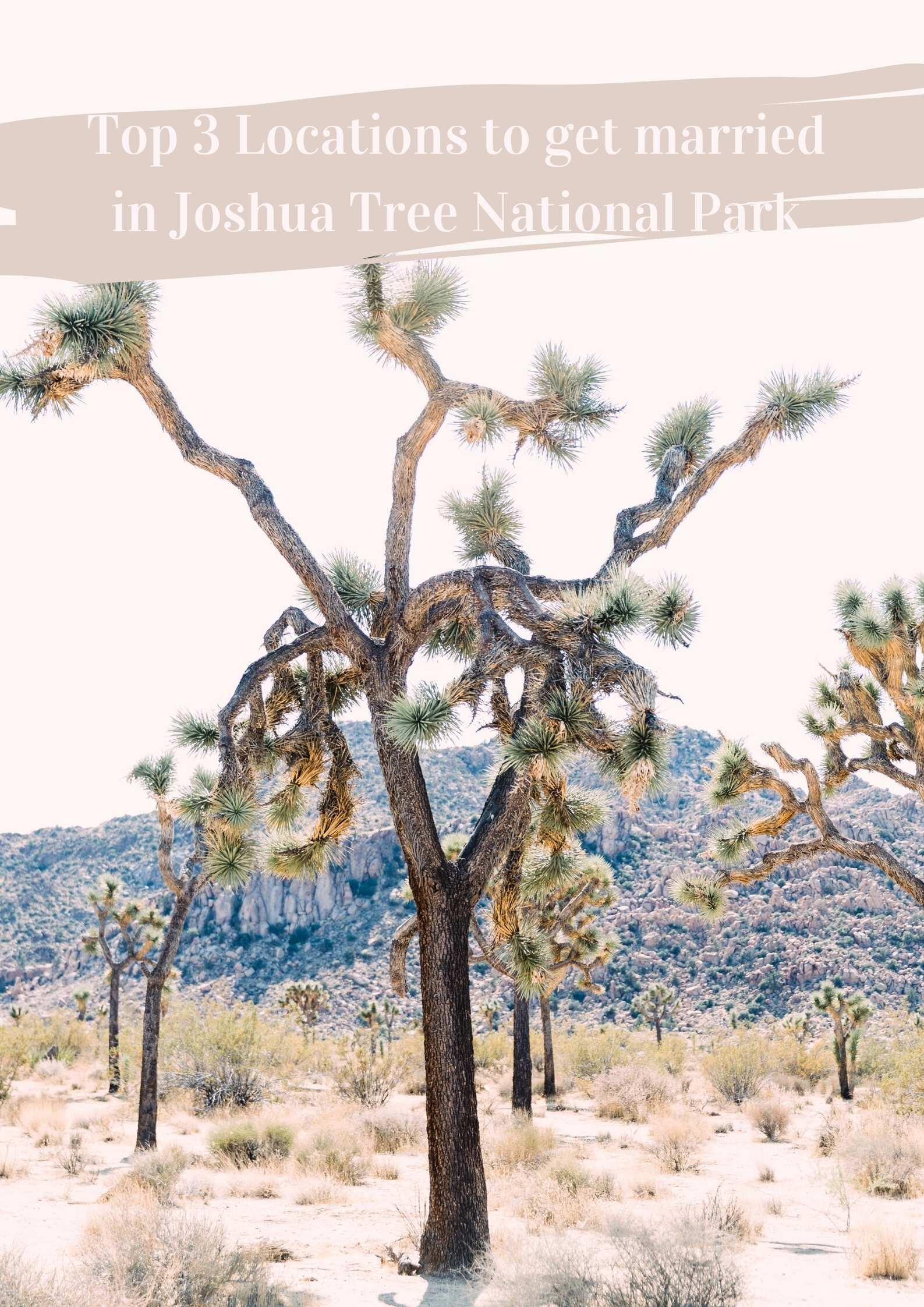 top 3 places to get married joshua tree national park