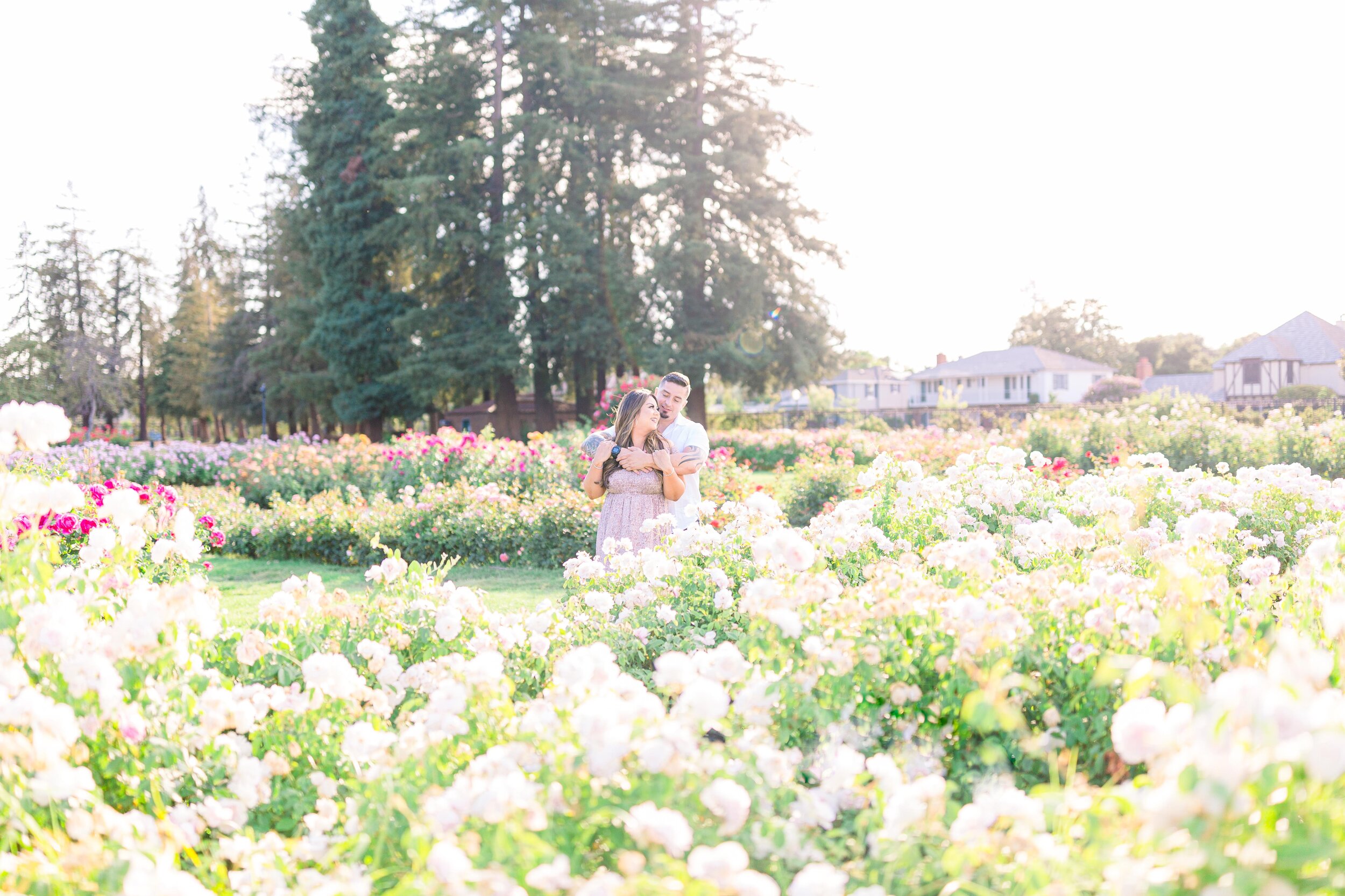 San Jose rose garden engagement photos