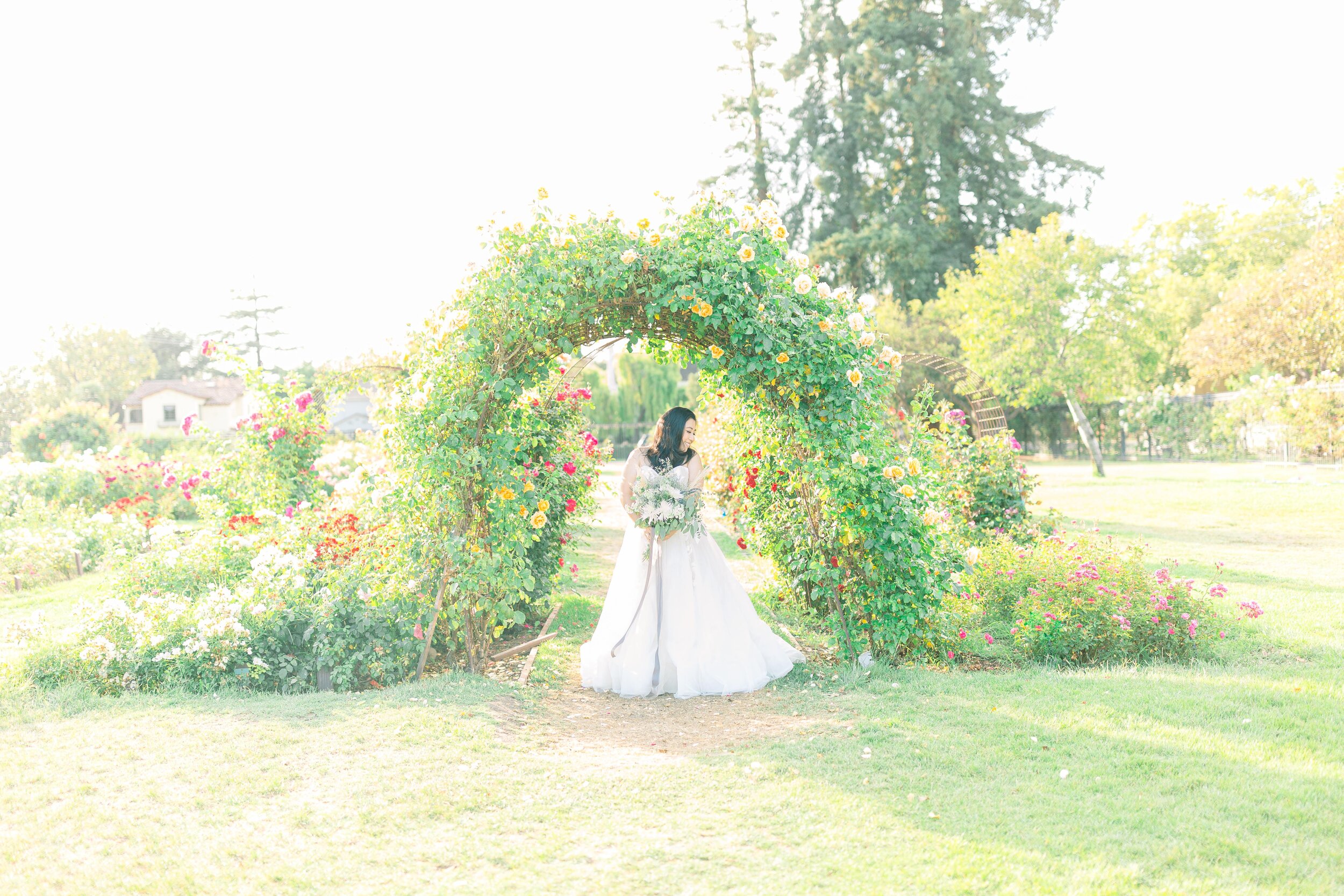 San Jose rose garden elopement