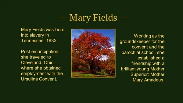 4.MF BIRTHPLACE.png