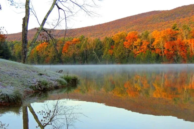 An autumn view from the beach at Lake Shaftsbury State Park