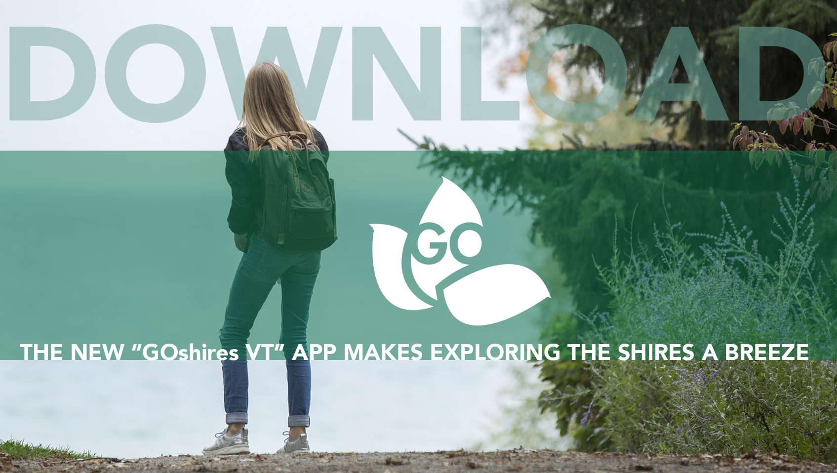 Go-Shires-App-Teaser-add.png