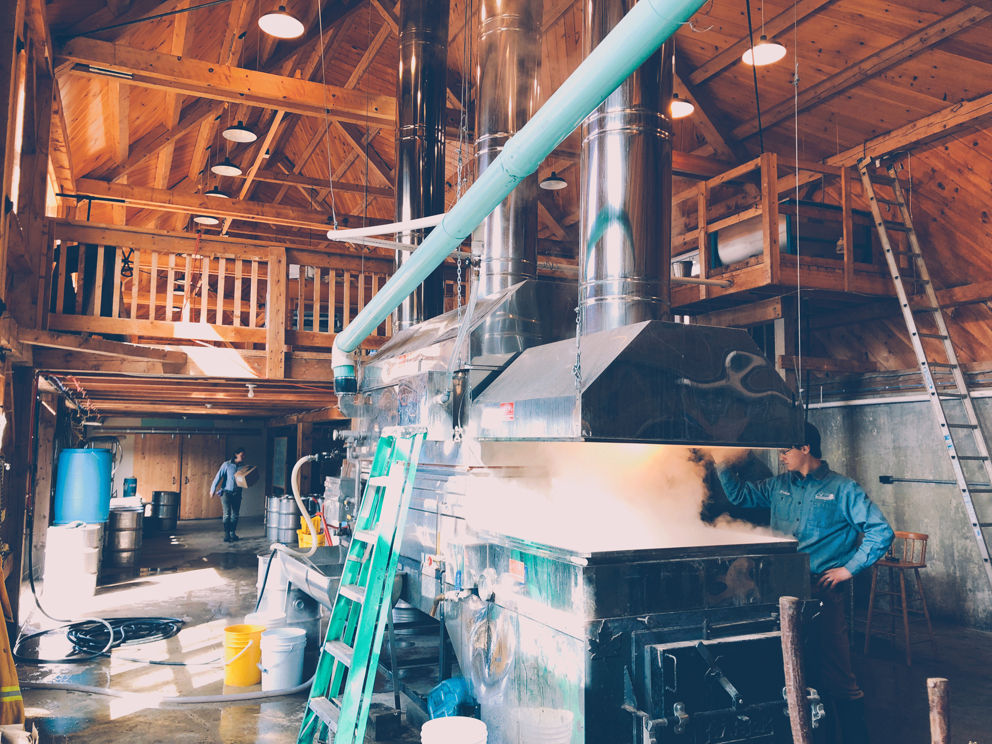 merck-forest-shires-of-vermont-2.gif