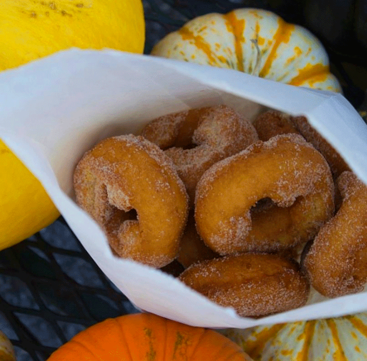 Apple-Cider-Donuts-Sunderland-Shires-of-Vermont.gif