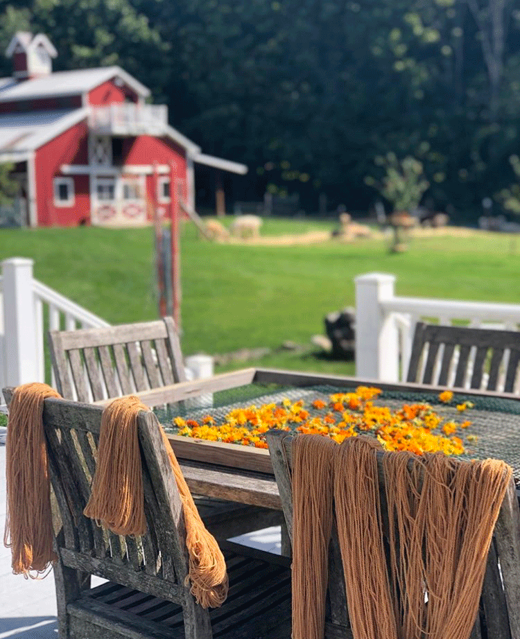 Shaftsbury-Vermont-Wing-and-a-Prayer-Farm.gif