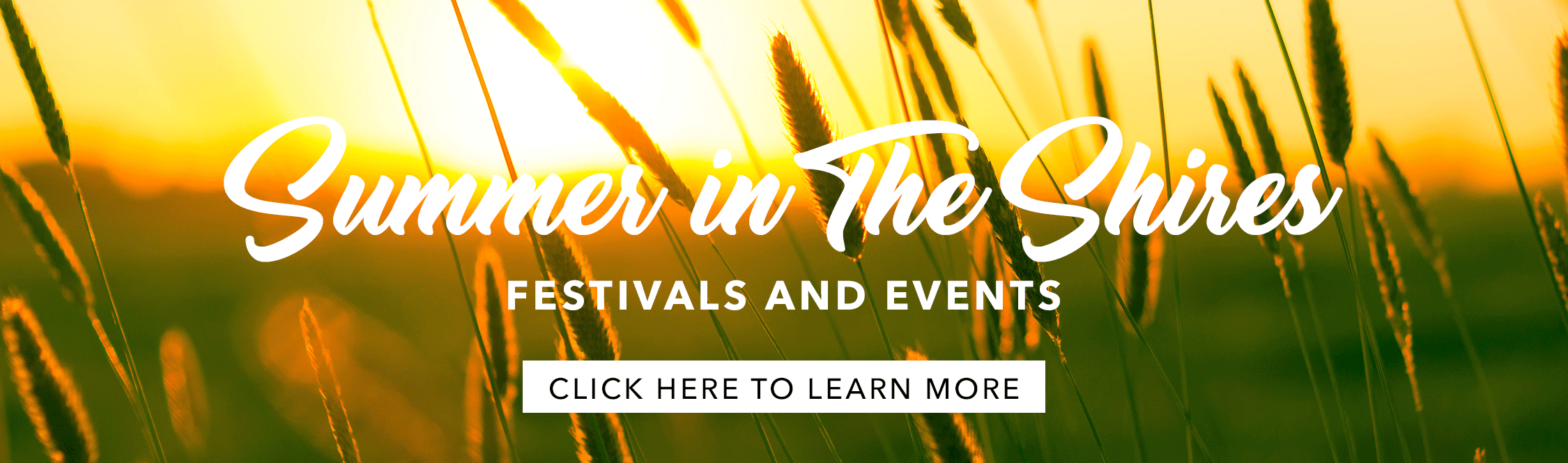 Summer in the Shires Event Slider 2020.jpg