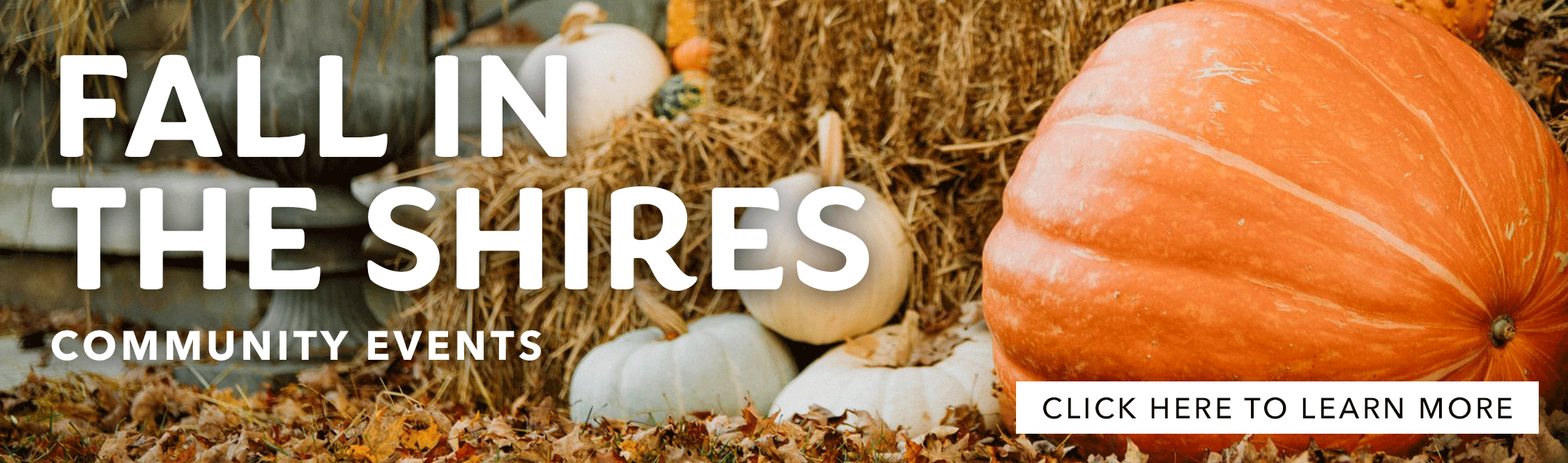 Fall-in-the-Shires-Event-Slider-2022.gif