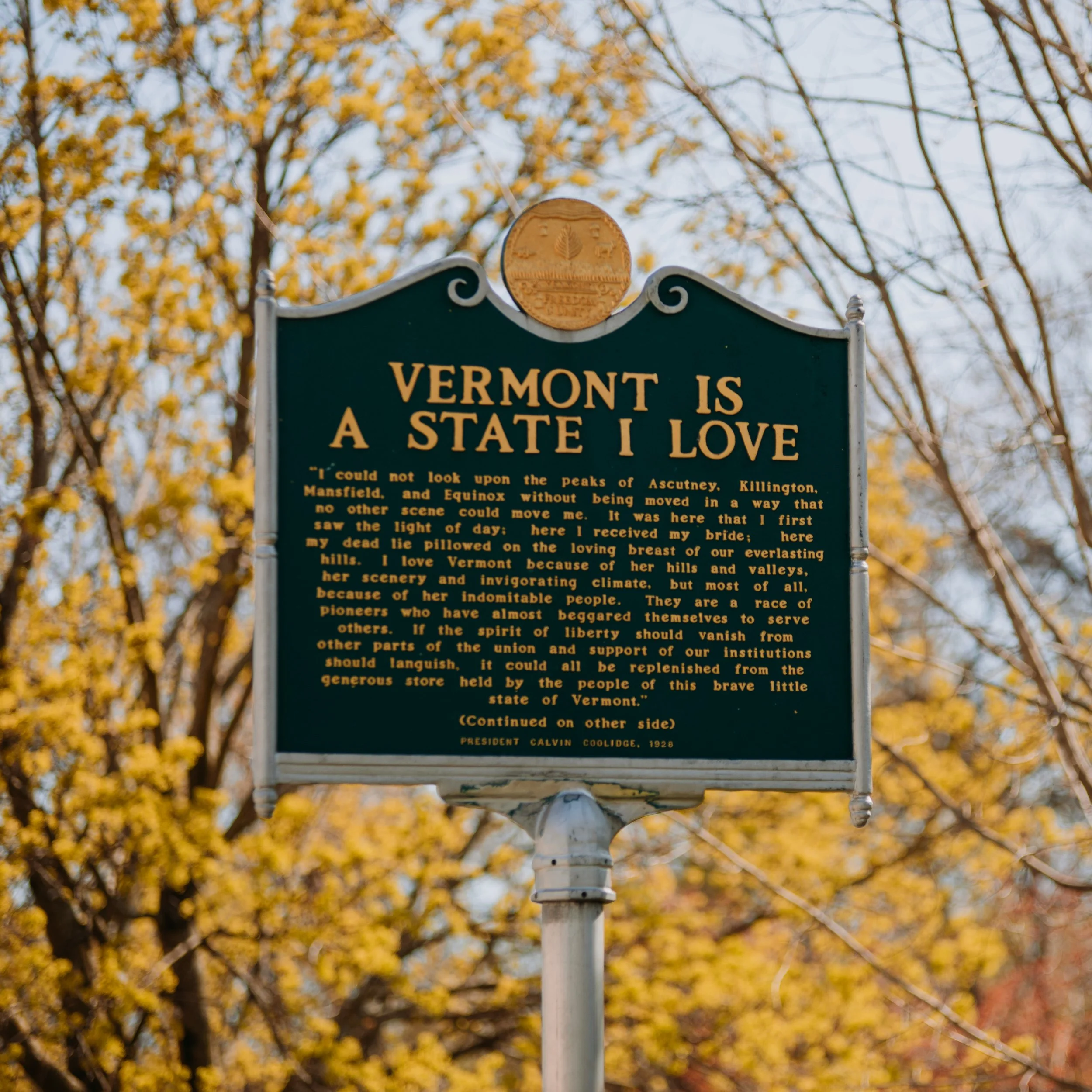 Spring_Bennington-13 (1).jpg