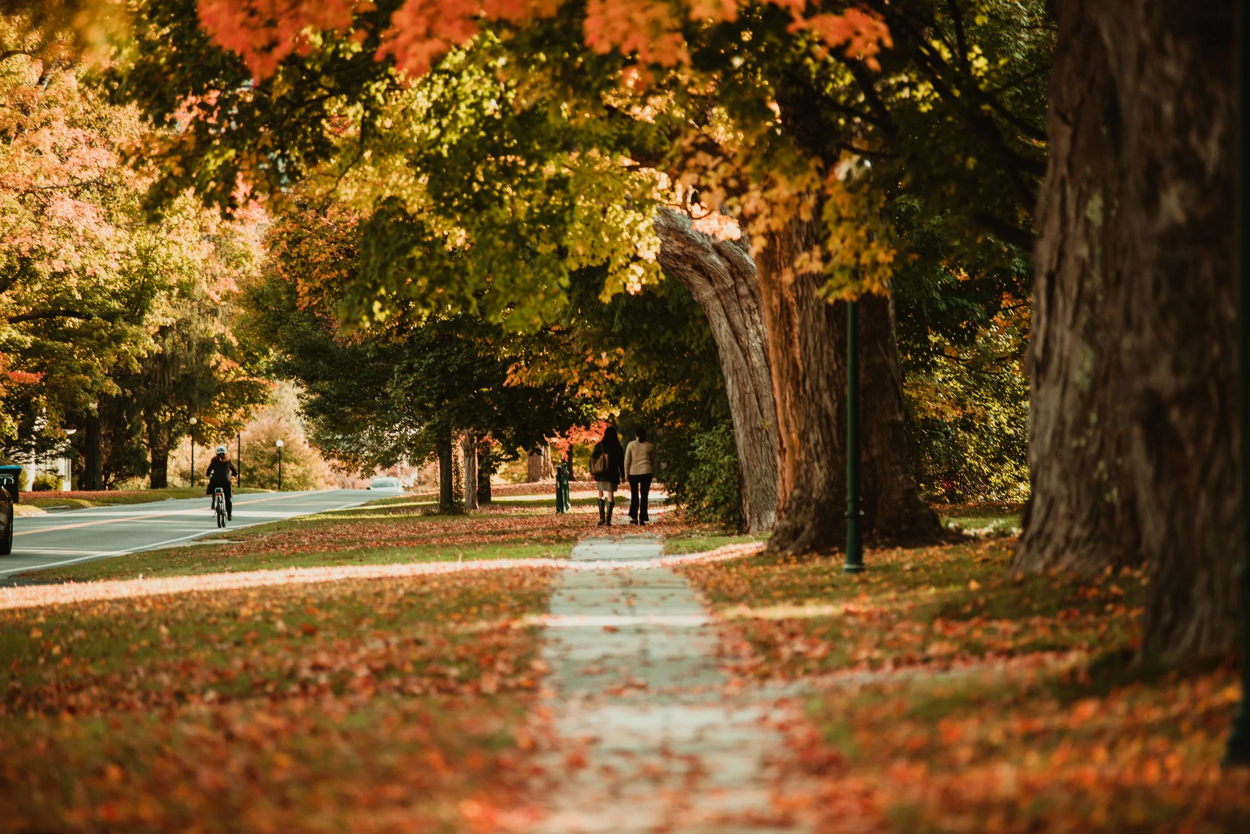 Fall_Manchester Village-8.jpg