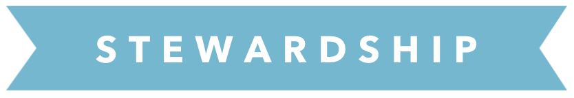 Screenshot 2025-12-17 at 11.52.11 AM.png