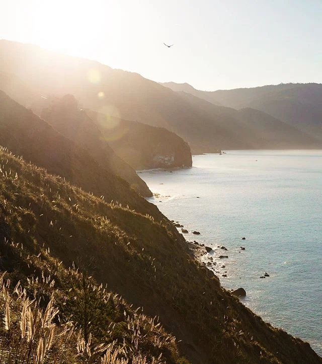 At dawn,&nbsp;Big Sur's&nbsp;majesty is almost painful to&nbsp;behold. That same prehistoric look, the look of always, Nature smiling at herself in the mirror of&nbsp;eternity.⁣
- Henry Miller