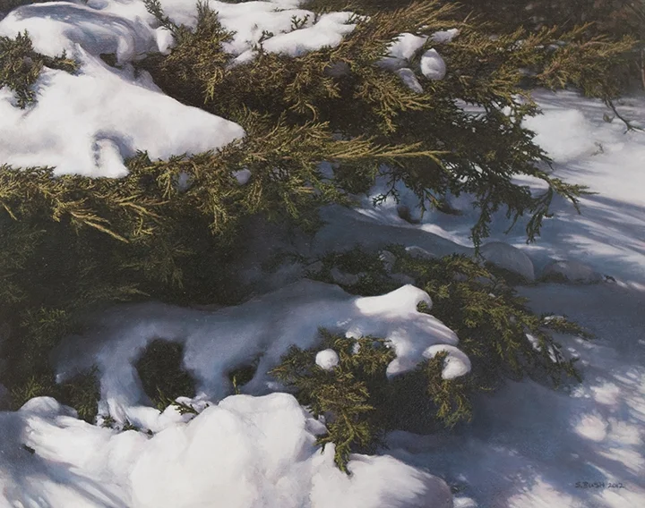 Winter (Boughs), oil on canvas, 22 x 28, SOLD