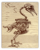 Elisium, Cover and center spread, 1994/5