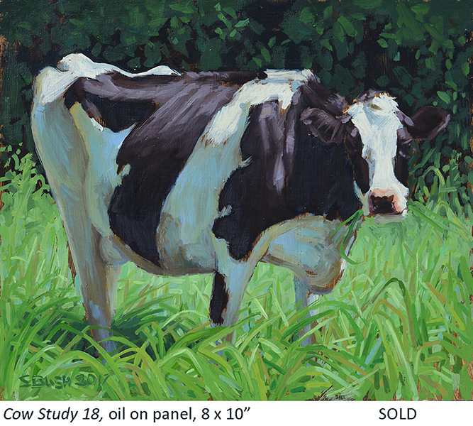 Cow Study 18_t4.jpg