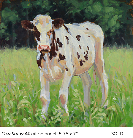 Cow Study 44_t4.jpg