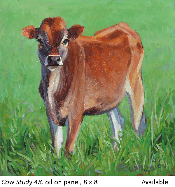 Cow STudy 48_t2.jpg