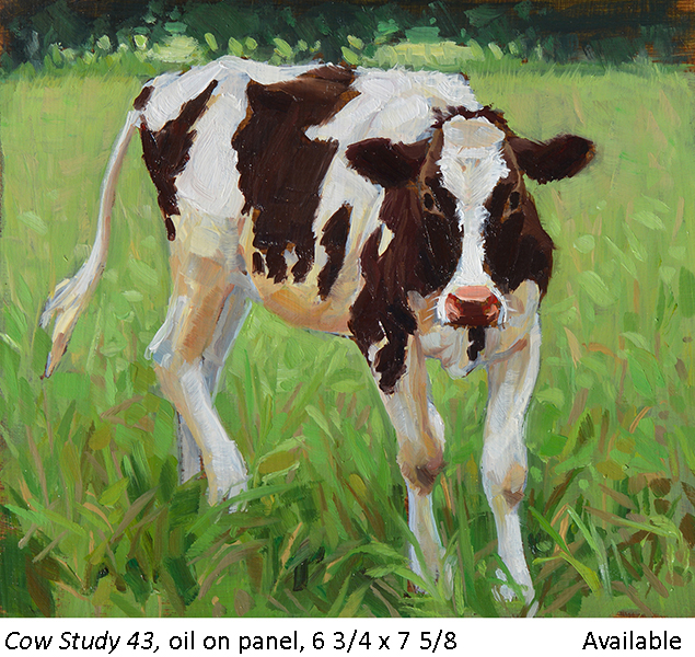 Cow Study 43_t2.jpg